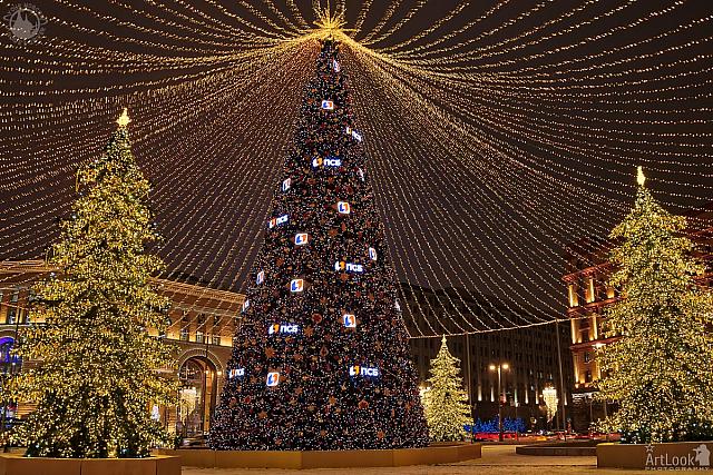 Christmas Trees Under Illuminated Tent at Lubyanka Square