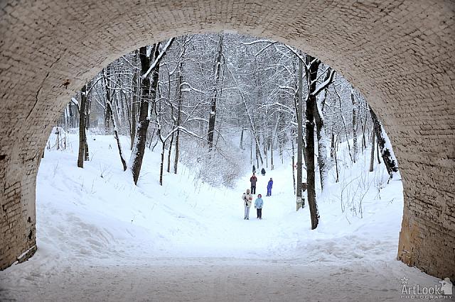 Looking Through Archway at the Ravine in Snow