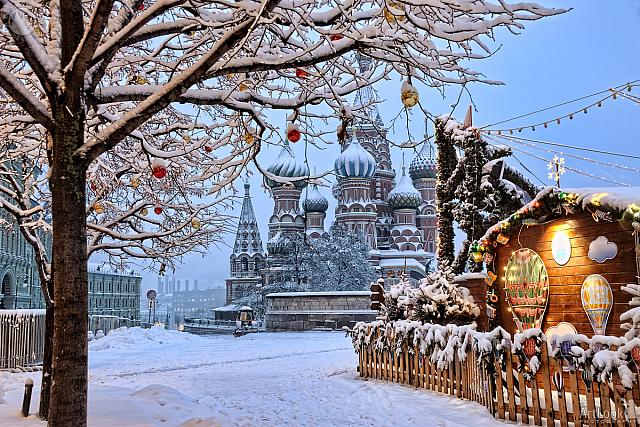 St. Basil’s Cathedral Framed by a Tree in Snow