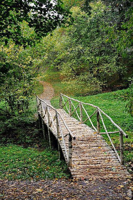 Small Birch Bridge on a Path