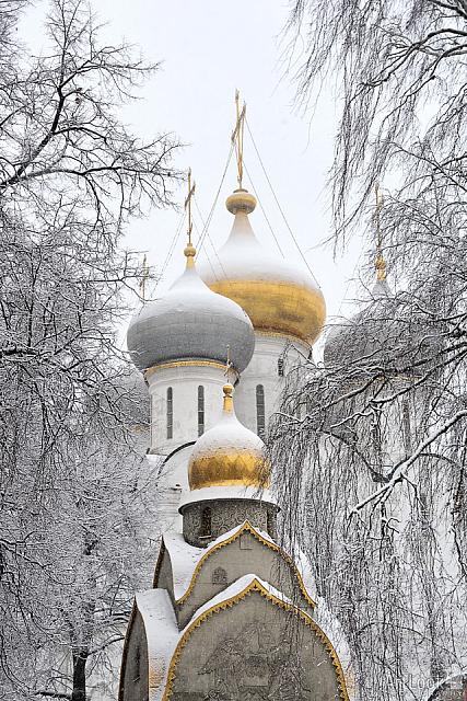 Snow Covered Church Cupolas of Novodevichy Framed by Trees