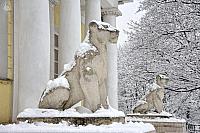 Covered Snow Sculptures of Lioness at the Palace Pavilion