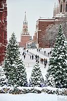 Kremlin Towers Framed by Christmas Trees in Snow
