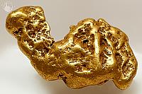 Camel Gold Nugget