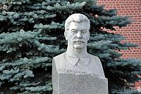 Bust of Joseph Stalin in the Background of a Pine Tree