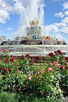 Stone Flower Fountain and Red Roses