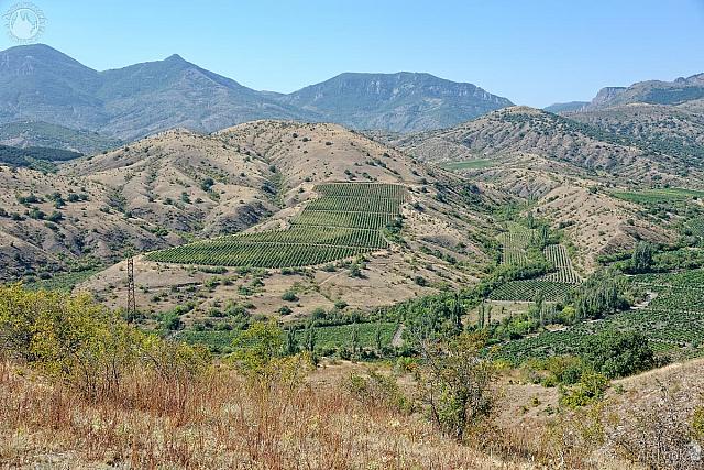 Alushta Vineyards in Crimean Mountains