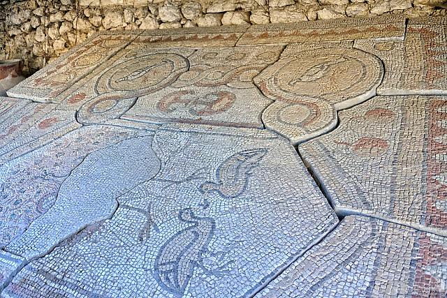 Fragment of the Splendid Mosaics from 6th century Basilica