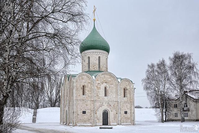 Transfiguration Cathedral Framed by Birch Trees in Winter