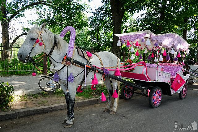 Magic Carriage for Princess