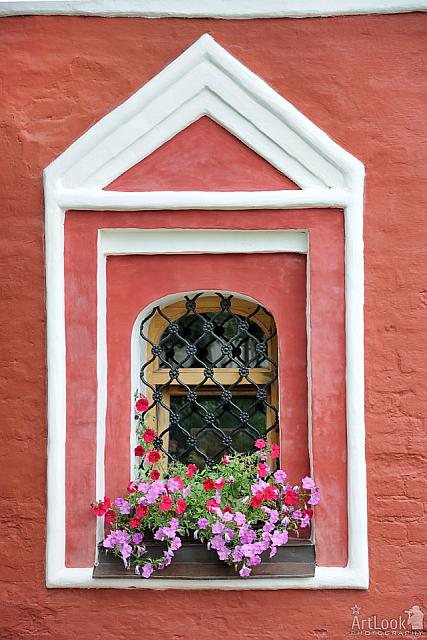 Window with Flowers