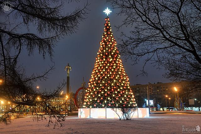 Gagarin Square Christmas Tree Framed by Trees at Morning Dusk