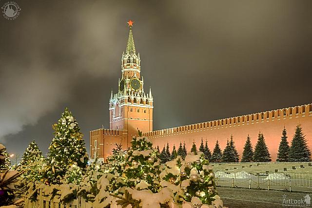 Kremlin’s Spasskaya Tower Framed by Christmas Trees in Snow
