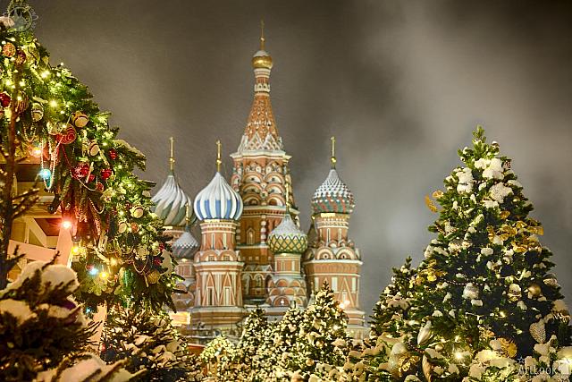 St. Basil’s Cathedral Framed by Christmas Trees in Snow at Night