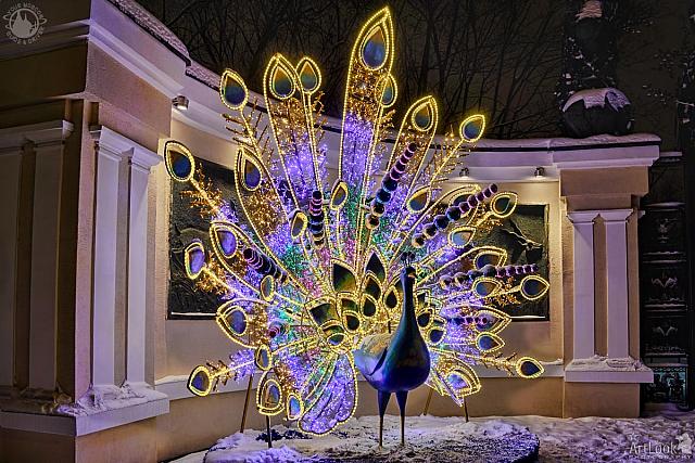 Amazing Illuminated Peacock at the Entrance to the Moscow Zoo