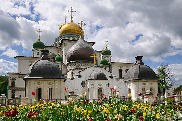 Churches of Russian Palestine Framed with Flowers