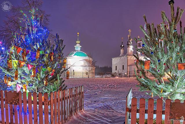 Suzdal Churches Framed by Festive New Year Trees at Night