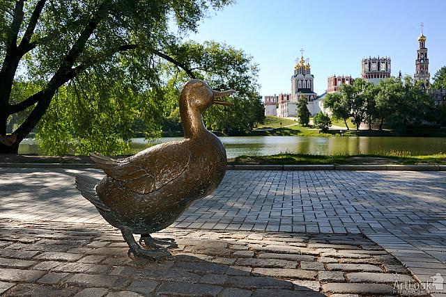 Mother-Duck Quack at Novodevichy Park