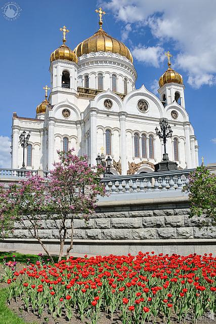Cathedral of Christ the Savior Framed by Flowers in Spring