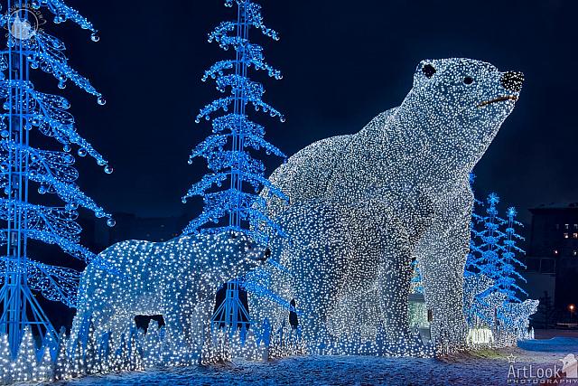 Polar Bears and Festive New Year Trees in Rostokino