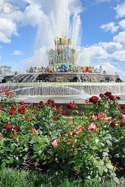 Stone Flower Fountain and Red Roses