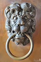Bronze Lion's Head Door Handle