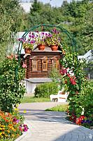 Garden Arch with Flowers