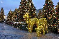 Lighted Deer Family and Christmas Trees on Manezhnaya Square