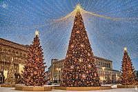 Christmas Trees Under Canopy of Lights at Lubyanka in Twilight