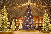 Christmas Trees Under Illuminated Tent on Lubyanka at Night
