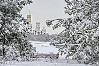 Covered Snow Spruce Trees and Ivan the Great Bell Tower