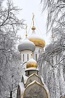 Snow Covered Church Cupolas of Novodevichy Framed by Trees