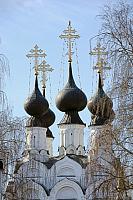 Elegant Black Domes of Troitskaya church framed with trees (Murom)