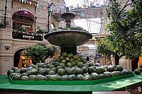 The Harvest Time - Watermelons vs Fountain