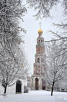 Bell Tower Framed with Snow Covered Trees