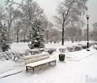 After Heavy Snowfall in the park of Repin